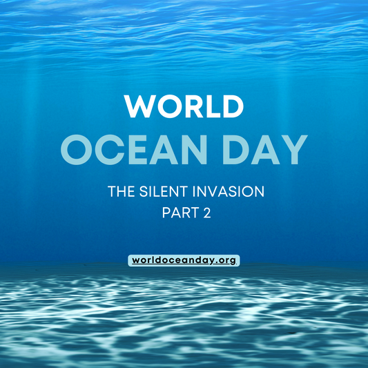 The Silent Invasion Part 2: How We Can Prevent Plastic in our Oceans