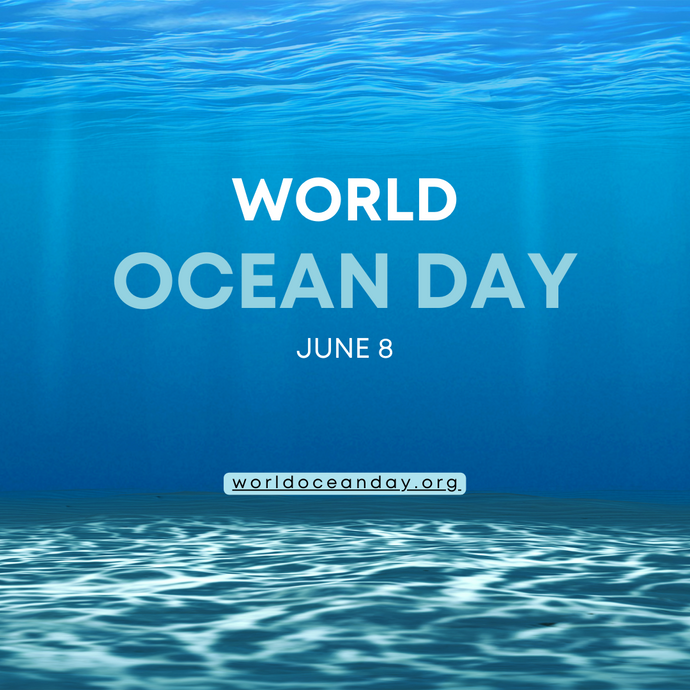 Celebrating World Ocean Day: Our Call to Protect the Blue Heart of Our Planet